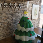 NIBOSHI MANIA - クリスマスツリー