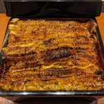 276784255 - 