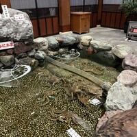 札幌 かに本家 札幌駅前本店 - 