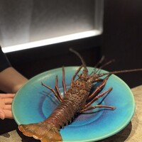 銀座 鉄板焼 向日葵 - 伊勢海老