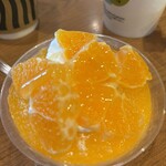 ドンレミーアウトレット - 温州みかん