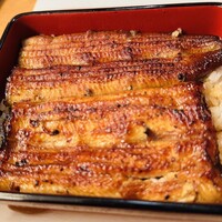鰻割烹 伊豆栄 本店 - 