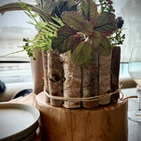 800°DEGREES ARTISAN PIZZERIA - 