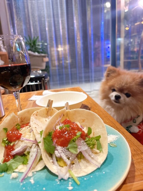 cafe dining TAMAKIYA （カフェダイニングタマキヤ） - 馬喰町