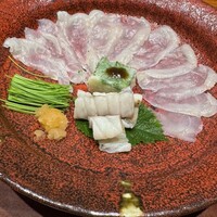 鯖とか烏賊とか真とか - 