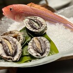 横浜うかい亭 - 