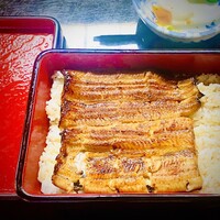うなぎ割烹 大江戸 - うな重です