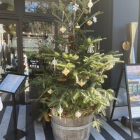 Jose Luis Karuizawa - 