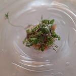 マダム・トキ - 