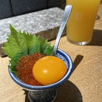 始祖鳥 - 