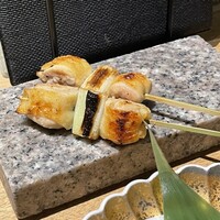 始祖鳥 - 