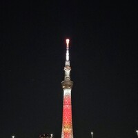 屋形船 品川 船清 - 