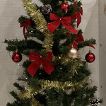 シャトレーゼ 館林店 - 息子が飾り付けしてくれたクリスマスツリー⭐︎