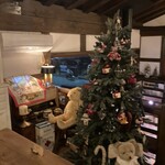 TiTi - クリスマスツリーとテディベア