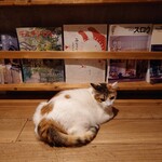 books to curry 猫のしっぽ - 