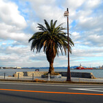 あじのや - 近くの「ペリー公園」にて④ 向かいに“映え”な久里浜海岸！