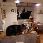 books to curry 猫のしっぽ - 