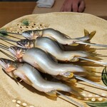 好日 - 郡上の天然鮎。♡ 