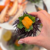 スプレンディード - 