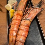 備長炉端 だいやめ - 