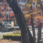 マヤデビ - 食後は歩道橋公園でプチ散歩^_^