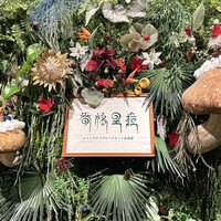 Shangri-La’s secret 表参道店 - 