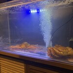 かに匠 - 蟹の生簀！！