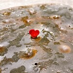 TSUSHIMI - 最後にハート残してみた