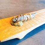 TSUSHIMI - 美肌牛蒡(山梨 小淵沢)