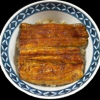 大丼（平日のみ）