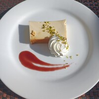 スミレオオサカ - 