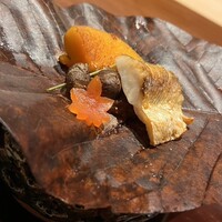 弧柳 - 