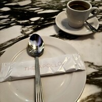 THE APOLLO - 