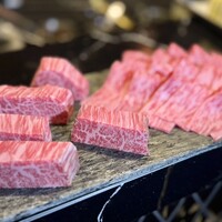 HIKARI - 