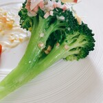 Moliere Cafe　降っても晴れても - 