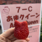 姫路ハートフル観光農園 - 