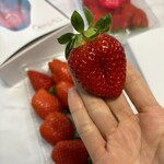 姫路ハートフル観光農園 - 