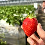 姫路ハートフル観光農園 - 