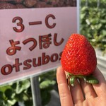 姫路ハートフル観光農園 - 