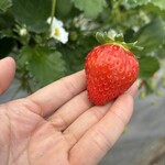 姫路ハートフル観光農園 - 