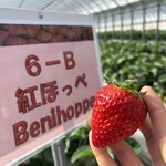 姫路ハートフル観光農園 - 