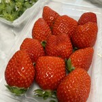 姫路ハートフル観光農園 - 