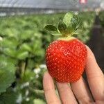 姫路ハートフル観光農園 - 