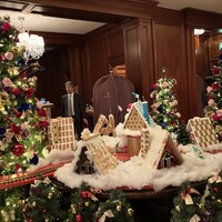 スプレンディード - 