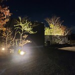 276964175 - 
