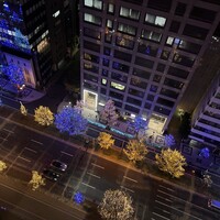 MIDO RESTAURANT PIC NIKA - 