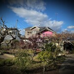 パティスリー コトル - メインの通りからもお店はこんな感じで確認出来ます♫