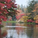 Conversa - 雲場池の紅葉