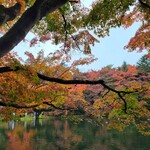 Conversa - 雲場池の紅葉