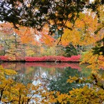 Conversa - 雲場池の紅葉